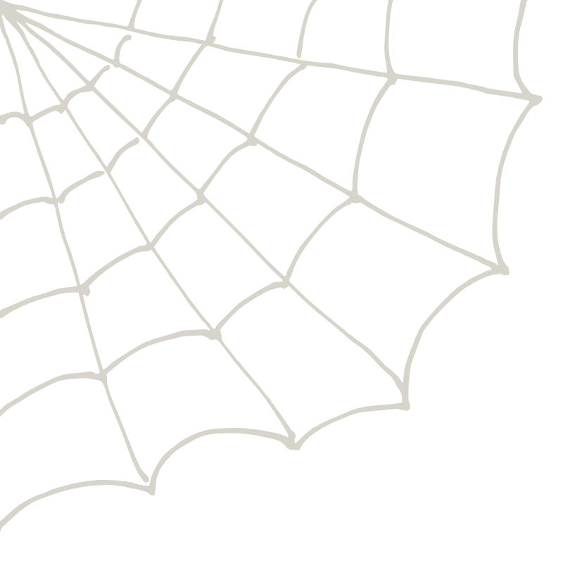 spider web 1