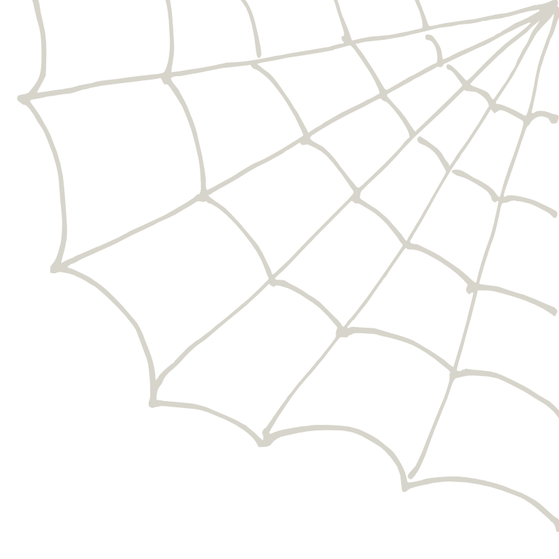 spider web 2